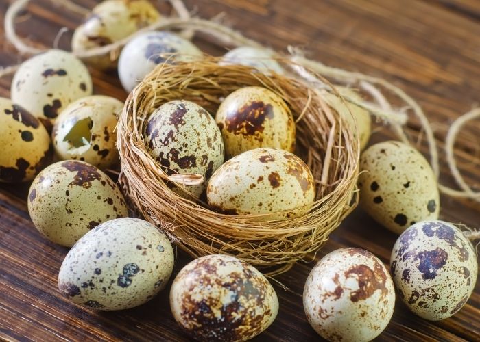 Quanto tempo leva para cozinhar ovo de codorna