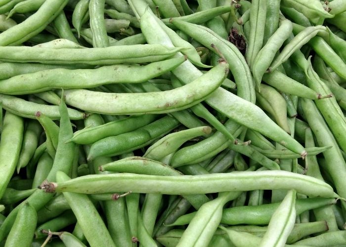 como cozinhar vagem para salada