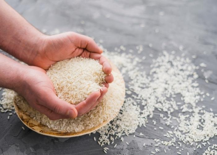 Pode guardar arroz cru na geladeira