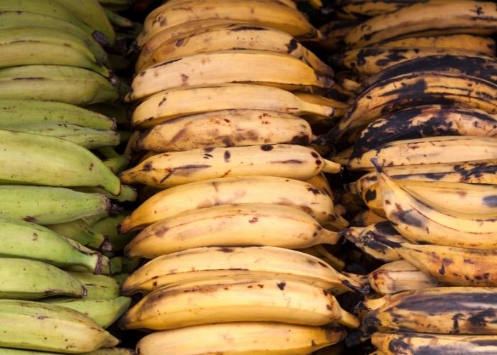 O que fazer com banana da terra