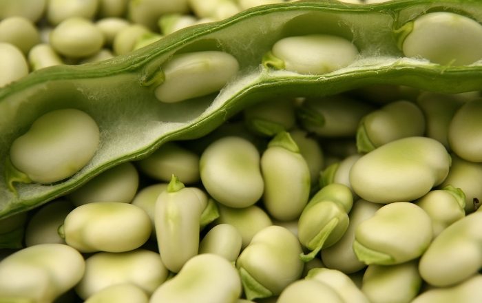 Quanto tempo para cozinhar fava na panela de pressão