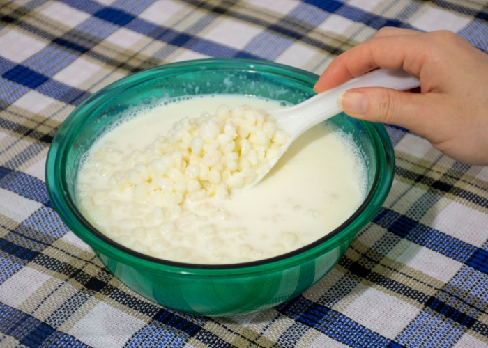 pode cozinhar canjica no leite