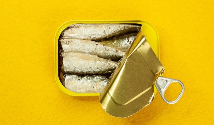 porque você NÃO PODE comer o óleo da sardinha em lata