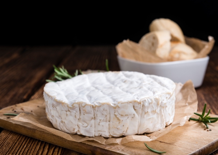 como conservar queijo camembert